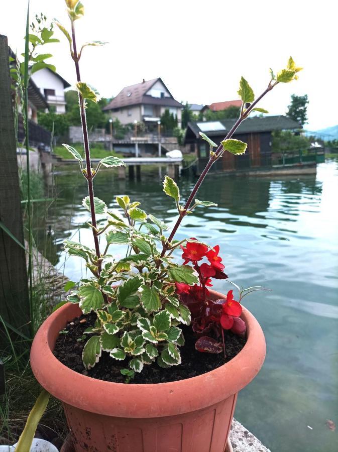 Dina Apartman Jablanicko Jezero Konjic Exterior foto